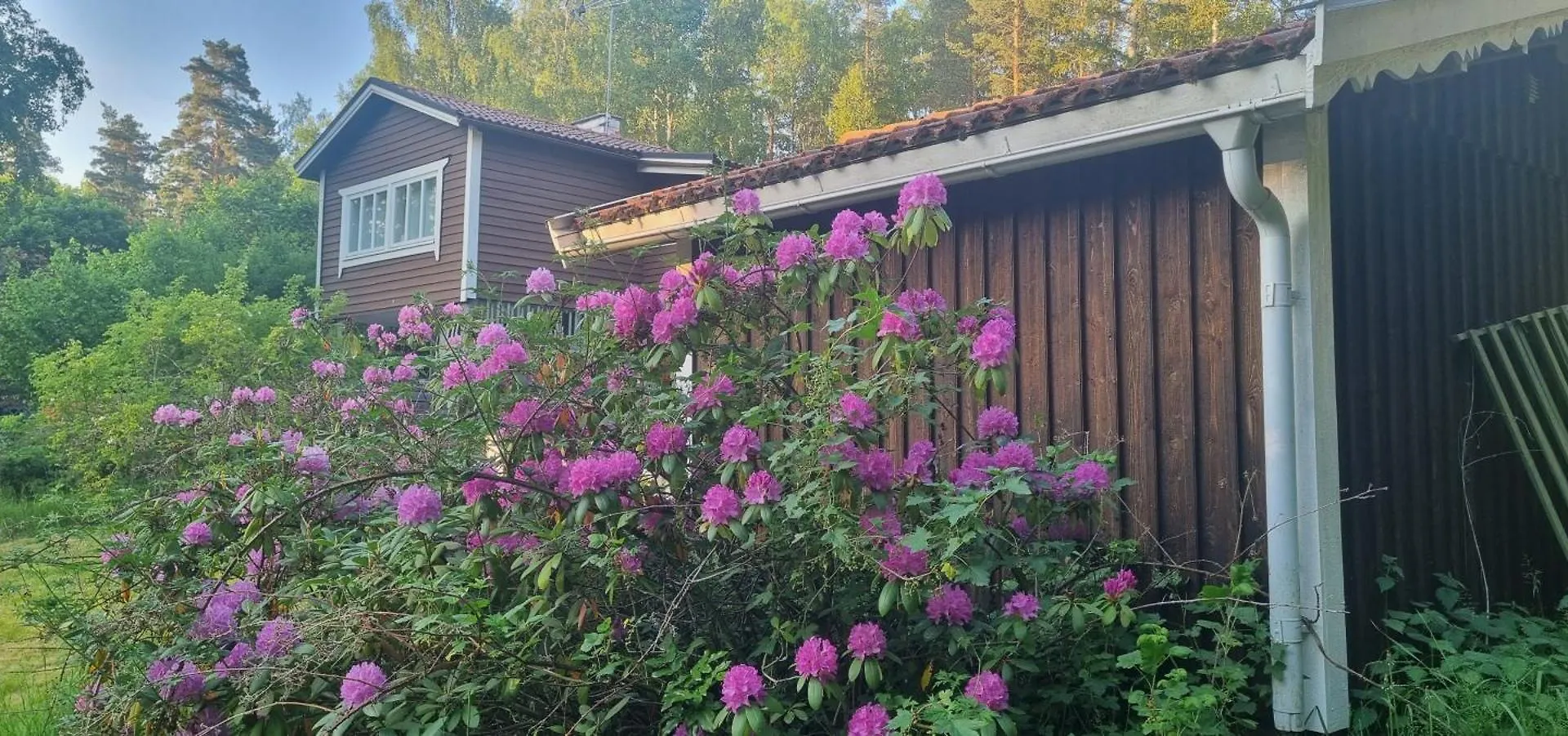 Private Lake Cabin Villa Stockholm 0*,  Sweden