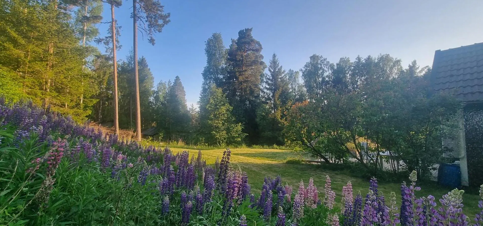 Private Lake Cabin Villa Stockholm