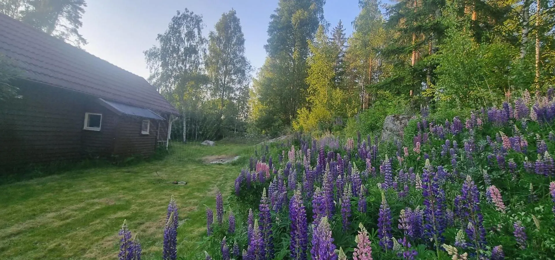 Private Lake Cabin Villa Stockholm